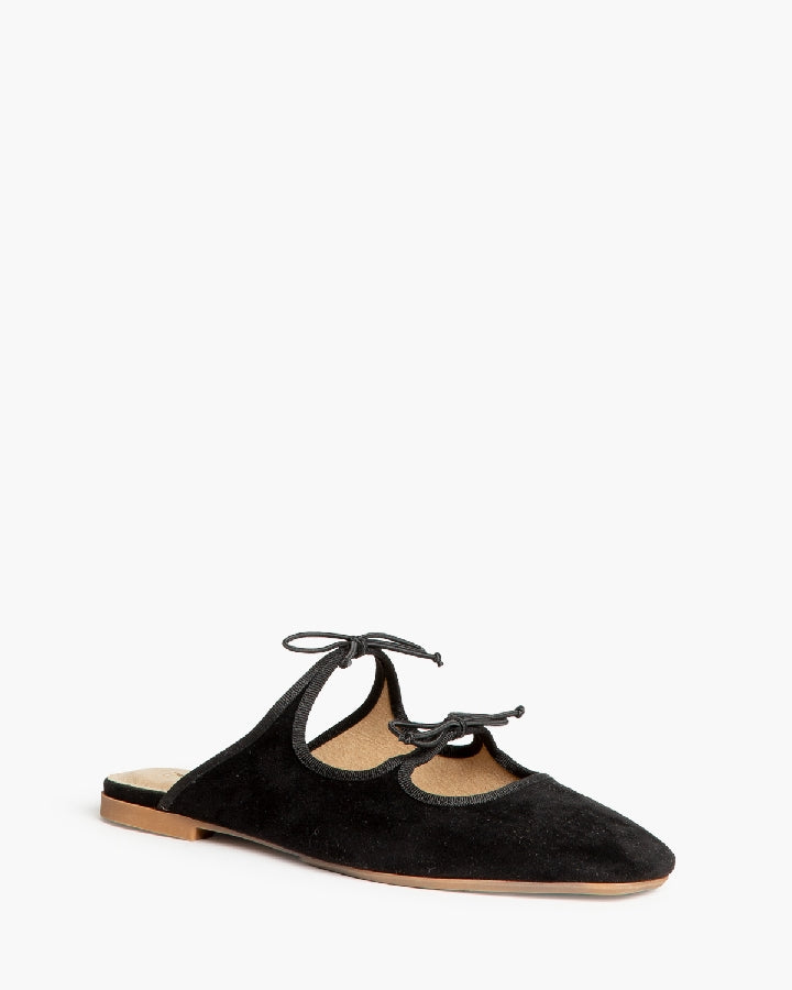 Mule Corina