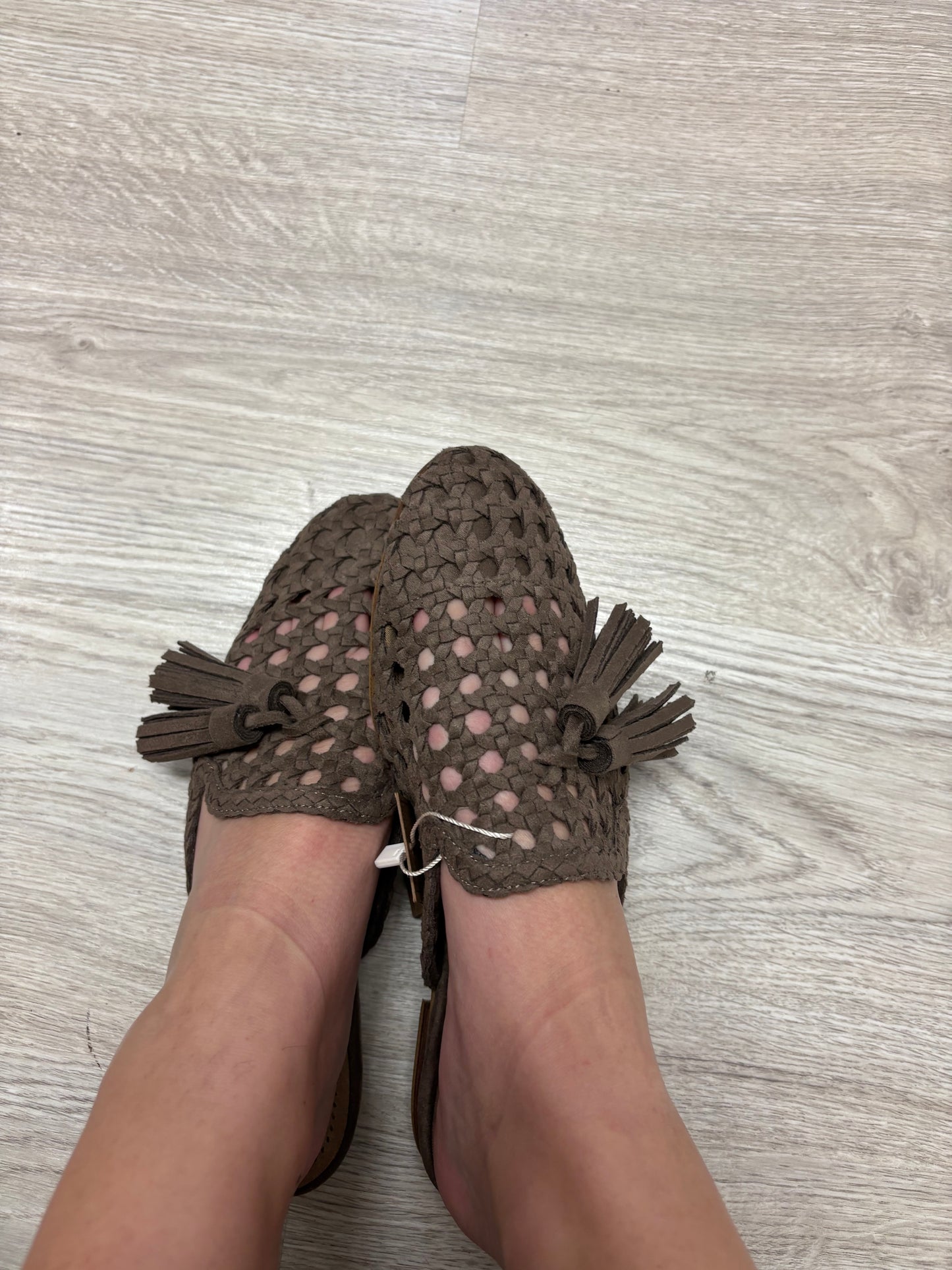 Mule Rasa Corina