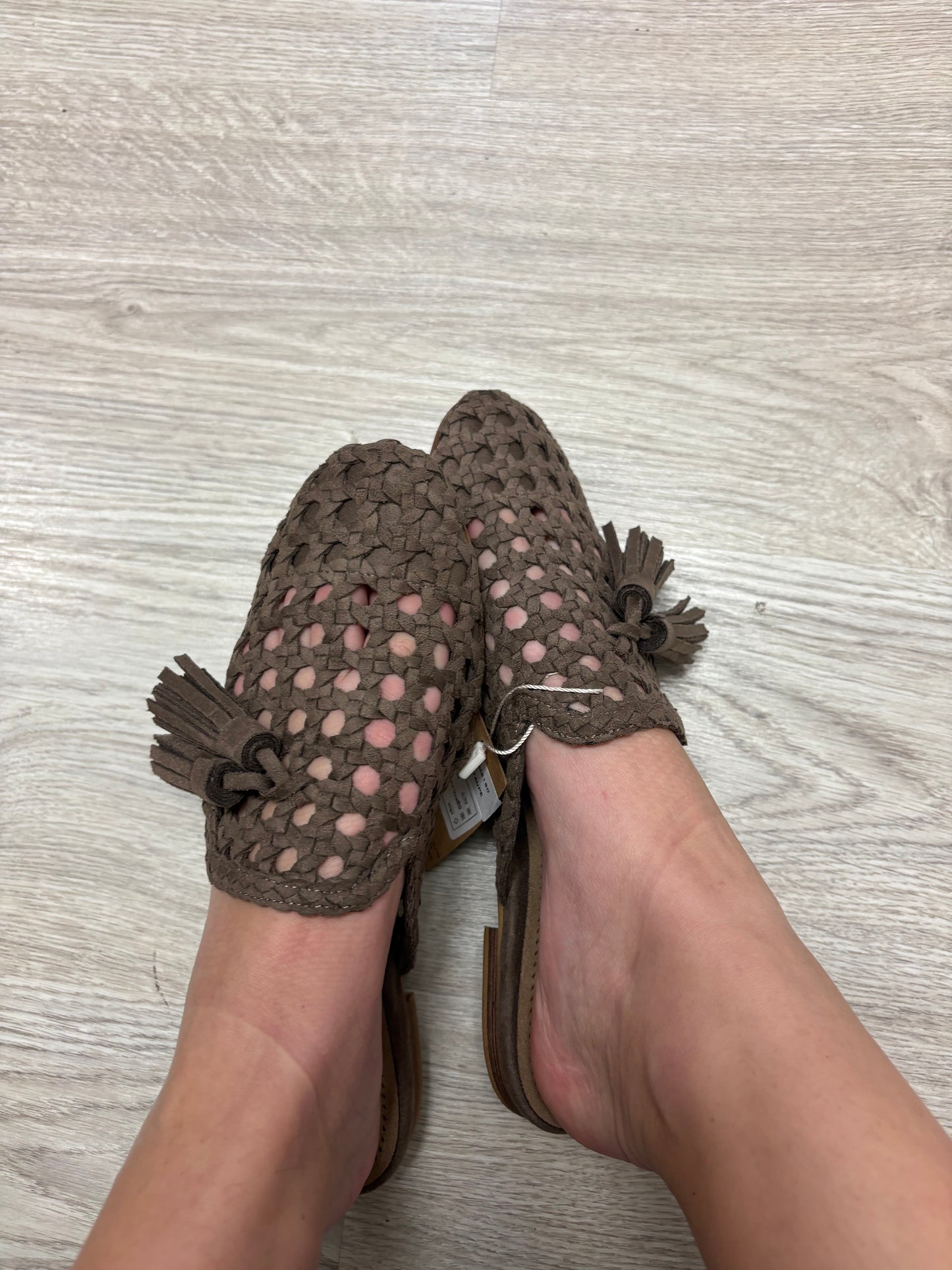 Mule Rasa Corina
